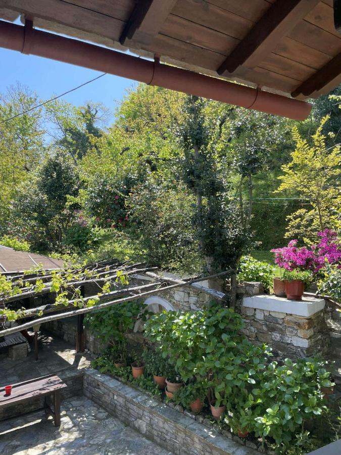 Archontiko Iatridis Hotel Mouresi Bagian luar foto