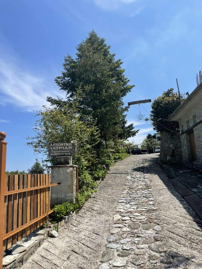 Archontiko Iatridis Hotel Mouresi Bagian luar foto
