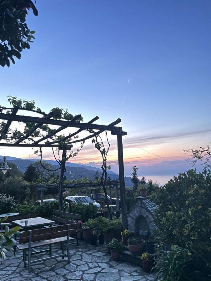 Archontiko Iatridis Hotel Mouresi Bagian luar foto