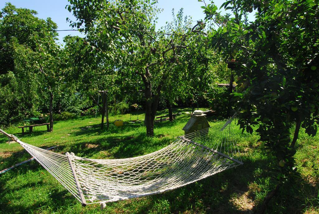 Archontiko Iatridis Hotel Mouresi Ruang foto