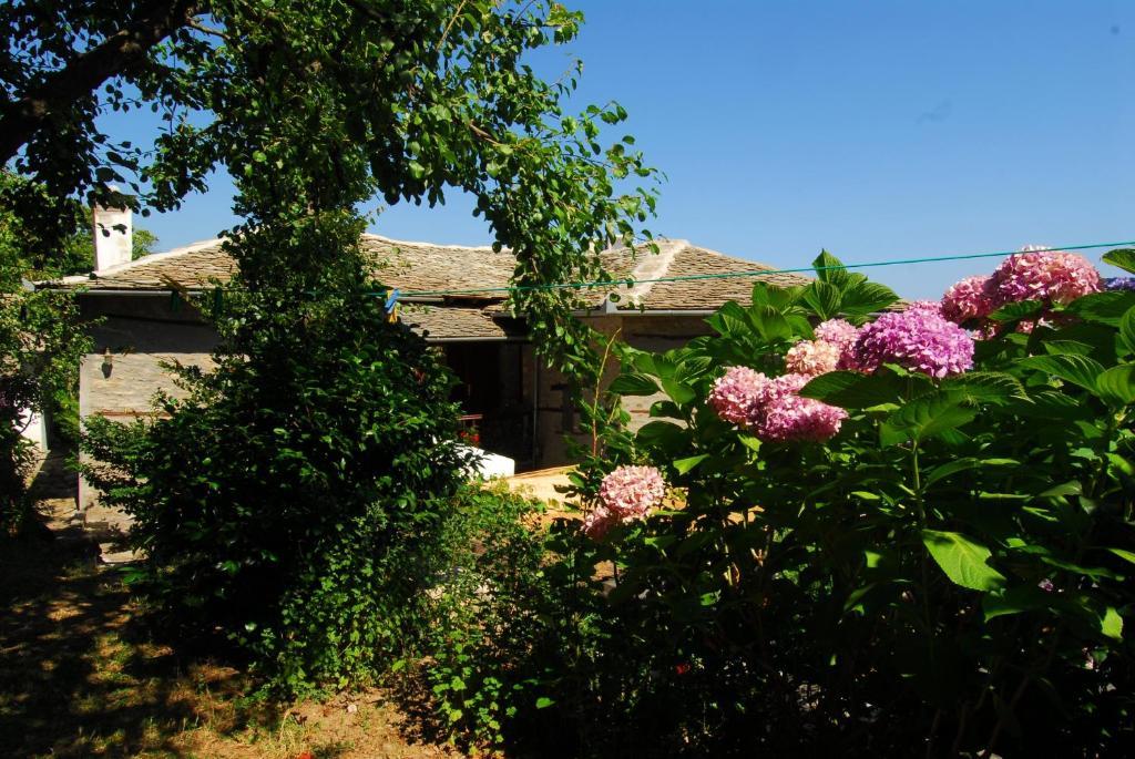 Archontiko Iatridis Hotel Mouresi Bagian luar foto