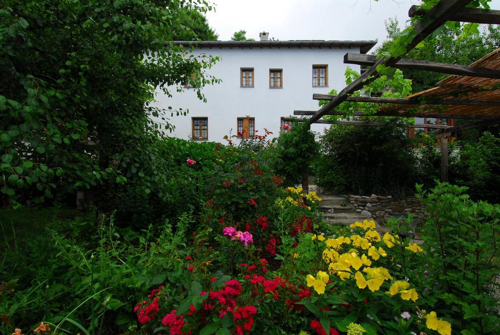 Archontiko Iatridis Hotel Mouresi Bagian luar foto
