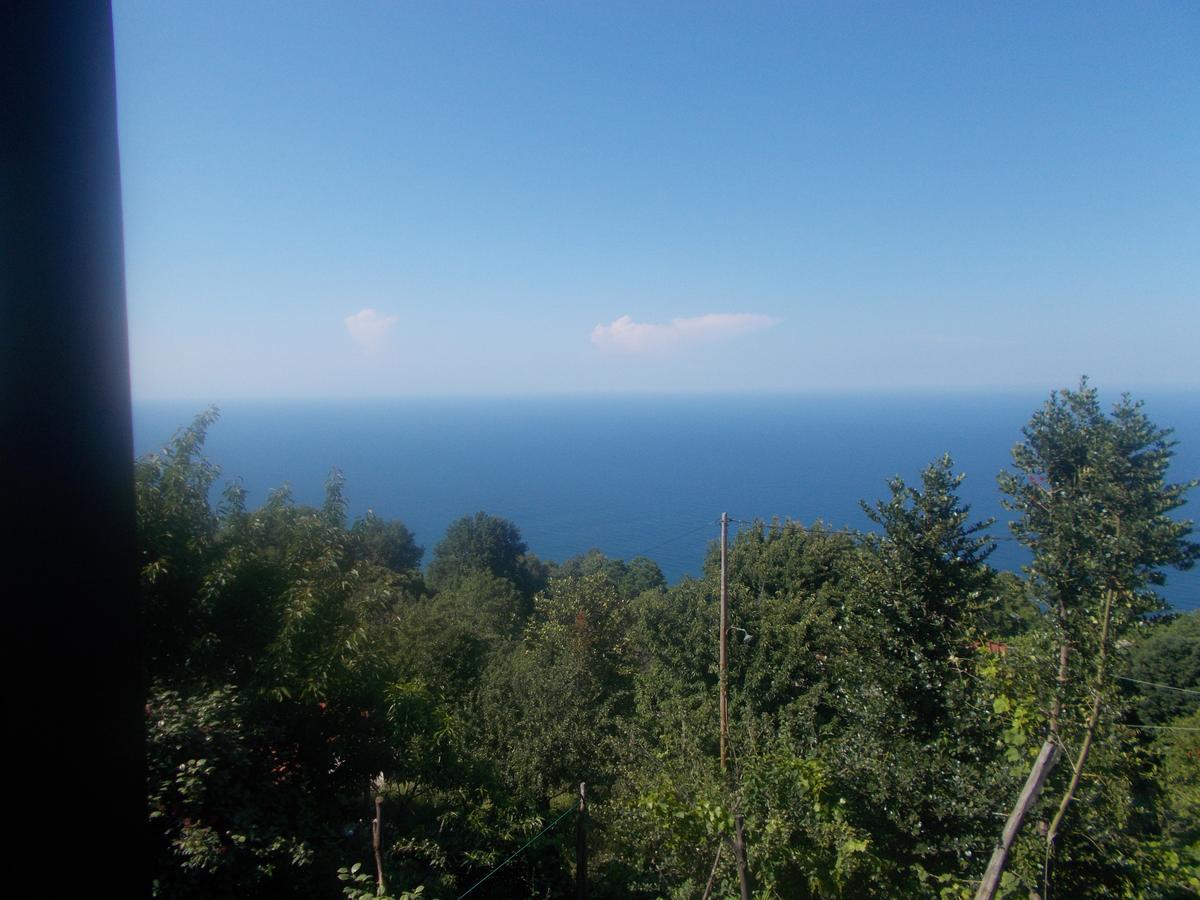 Archontiko Iatridis Hotel Mouresi Bagian luar foto