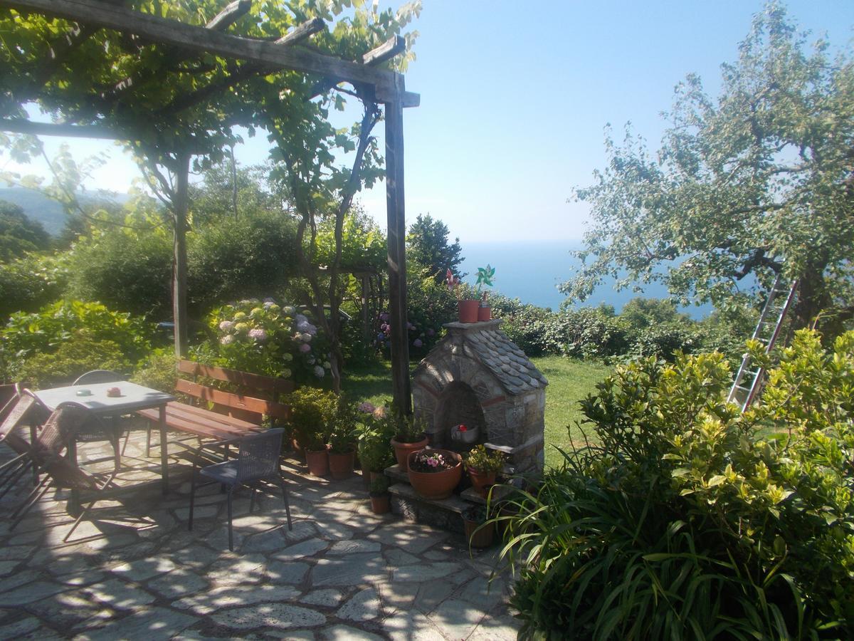 Archontiko Iatridis Hotel Mouresi Bagian luar foto