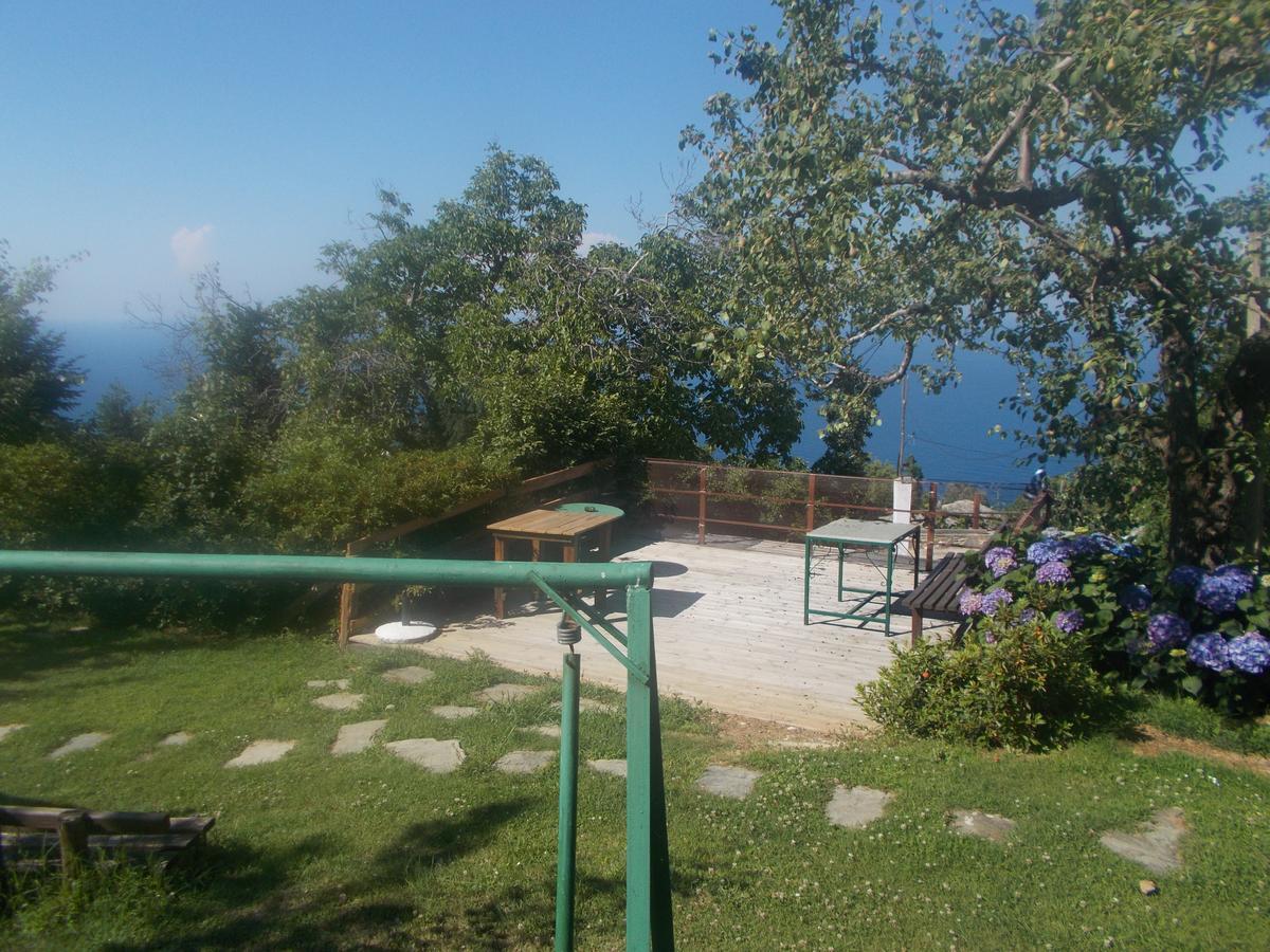 Archontiko Iatridis Hotel Mouresi Bagian luar foto