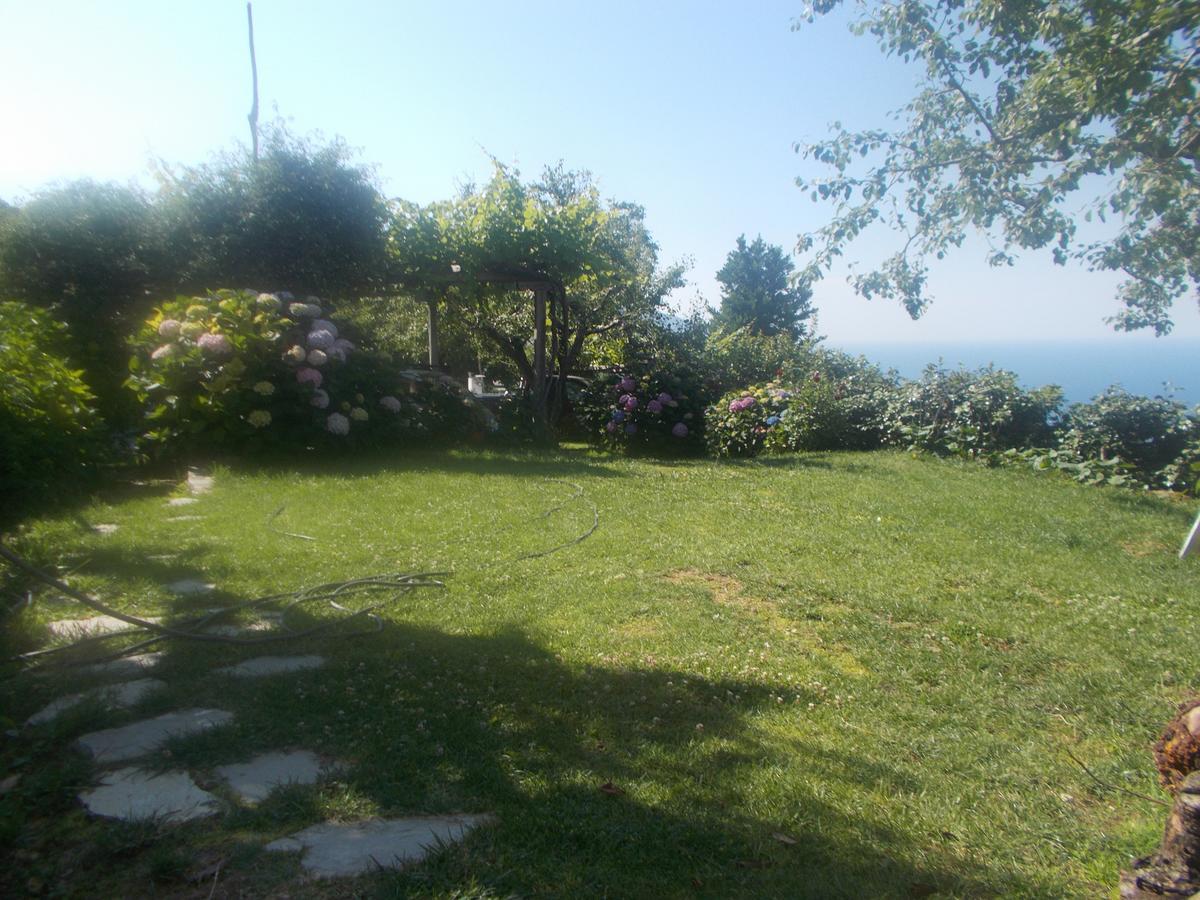 Archontiko Iatridis Hotel Mouresi Bagian luar foto