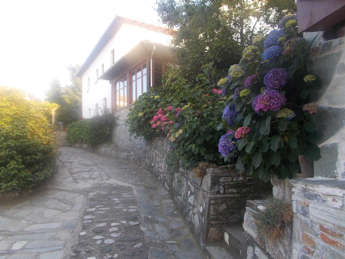 Archontiko Iatridis Hotel Mouresi Bagian luar foto