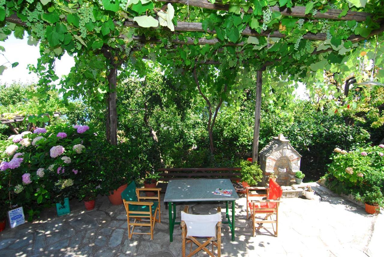 Archontiko Iatridis Hotel Mouresi Bagian luar foto